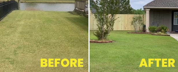 Before and After Lawn Care Maintenance