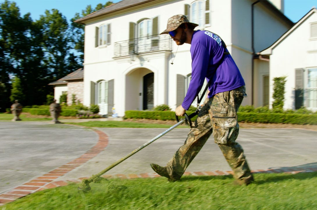 Cleaned yard with all grass clippings and debris blown off