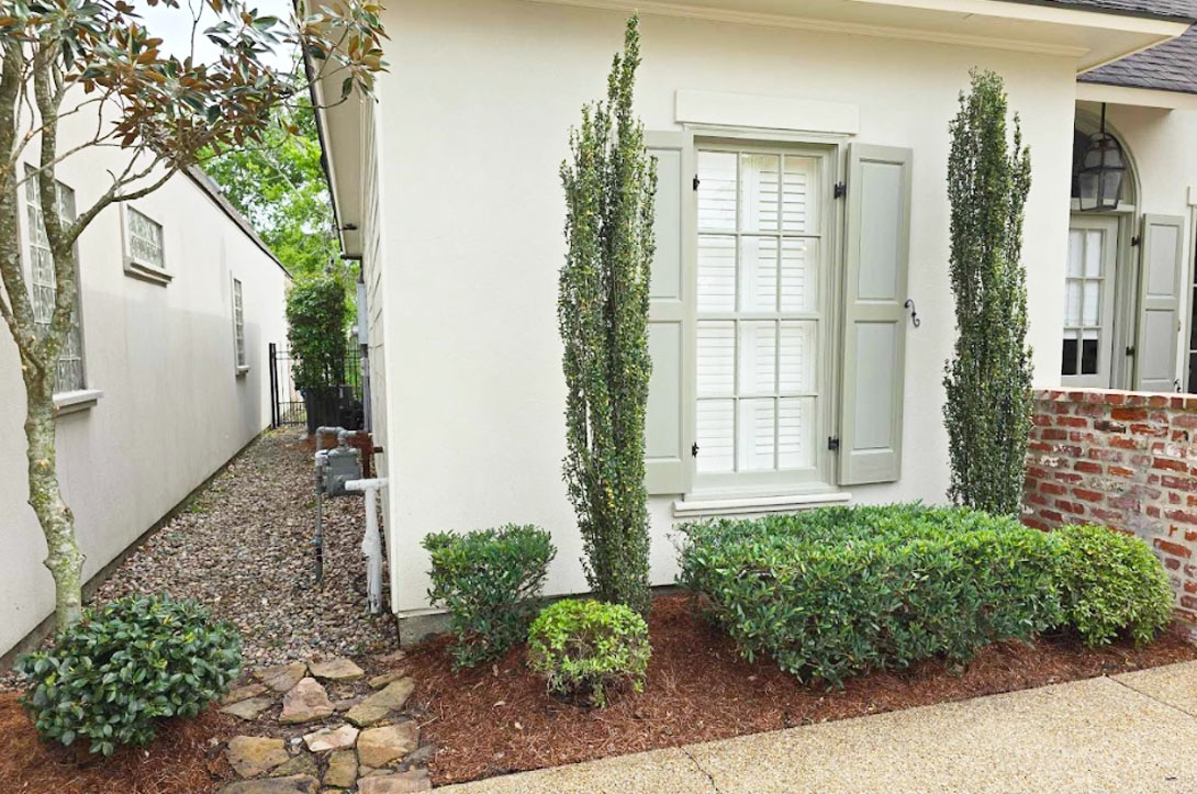 Beautifully landscaped garden with new plant installations