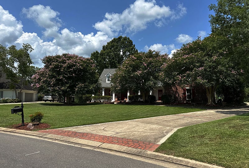 Lawn Care Service Large house